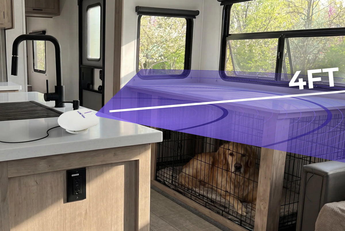 Pet Areas